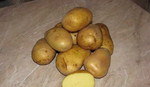 Картофель (бесплатно доставка на дом)