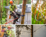 Каблинг – укрепление деревьев стальными тросами