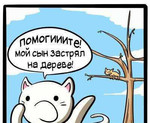 Снять кошку или кота с дерева