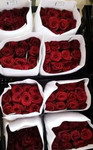 Розы Премиум 60 - 70 см. Цветы и Доставка