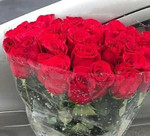 Букет 25 роз красных 60 см Эквадор