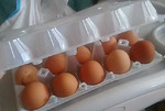Доставка домашних яиц