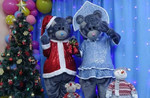 Мишки Тедди экспресс - поздравление с Новым Годом