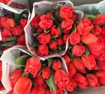 Тюльпаны оптом на 8 марта