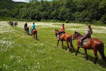 Конные маршруты, катание на лошадях в Шапсуге
