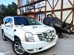 Автомобиль на свадьбу Cadillac Escalade