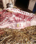Мясо свинины )