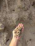 Песок карьерный и строительный.
