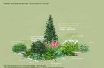 Консультации, проектирование по садам и зимн.садам