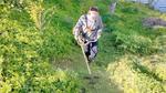 Покос травы триммером Ульяновск