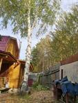 Спил и обрезка деревьев в Ступинском районе