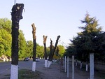 Спил деревьев в Перми и области