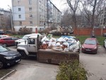 Вывоз мусора (строительного, веток и т.п) лицензия