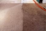 Химчистка ковров и ковровых покрытий на дому