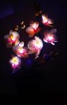 Цветы - светильники ручной  работы