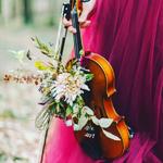 Скрипка на свадьбу 