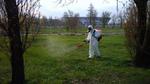 Обработка водоёма от комаров и личинок - Московская область