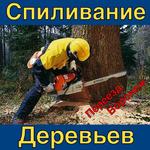 Спилить дерево Воронеж 
