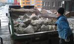 Вывоз строительного мусора и хлама