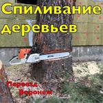 Спил деревьев любой сложности Воронеж