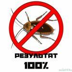 Травим клопов тараканов гарантия 100