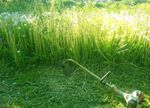 Покос (скос) травы в Березовском