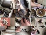 Ремонт стиральных машин и посудомоек в Домодедово