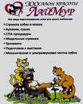 Стрижка собак и кошек в Орехово-Зуево