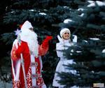Дед Мороз и Снегурочка выезд на дом. На любой кошелек 