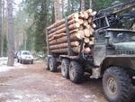 Купить дрова в Боровске, доставка в Боровском районе.