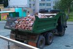 Вывоз мусора по низким ценам Тамбов