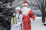 Авторские новогодние программы  Дед Мороз и Снегурочка 
