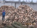 Предлогаю дрова акации, ясеня