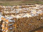 Продам дрова лиственных пород 