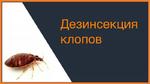 Уничтожение Клопов Тараканов и других насекомых