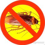 Уничтожение тараканов,клопов,клещей,блох и т.д