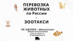 Перевозка животных Новосибирск 
