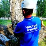 Обрезка, спил деревьев в Новосибирске