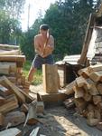 Помощь в заготовке дров. ✔