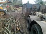 Спил деревьев и вывоз мусора в Кировске