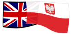  Частные уроки польского и английского