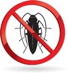 Санобработка от тараканов и других насекомых