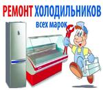 Ремонт холодильников в Большом Истоке