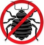 Уничтожение насекомых, клопов, тараканов Дезинсекция