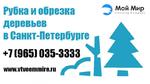 Услуги по спилу и обрезанию деревьев в Санкт-Петербурге