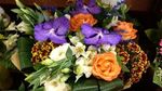 Доставка цветов в Волгограде