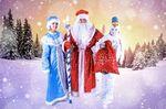 Дед Мороз и Снегурочка домашние поздравления кмв