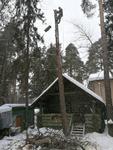Спил, вырубка и удаление деревьев в Хотьково