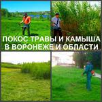 Покос травы Воронеж. Мы косим траву триммером.