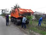 Вывоз Веток мусора с дачи в Омске